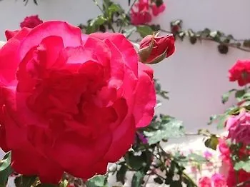 Matas Διαμέρισμα *